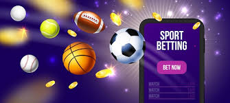 Discover the World of Rajas567.com Your Gateway to Exciting Opportunities