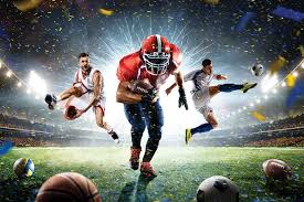 Discover the World of Rajas567.com Your Gateway to Exciting Opportunities
